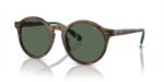 Polo Ralph Lauren PH 4204U Shiny Tortoise Brown/Green Sunglasses