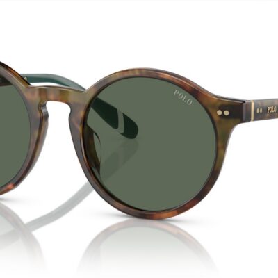 Polo Ralph Lauren PH 4204U Shiny Tortoise Brown/Green Sunglasses