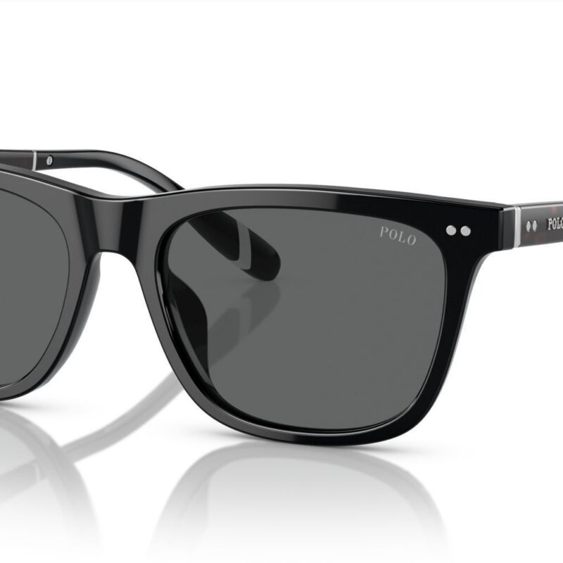Polo Ralph Lauren Men's PH 4205U Black/Grey Sunglasses