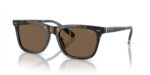 Polo Ralph Lauren Men's PH 4205U Shiny Dark Havana/Brown Sunglasses