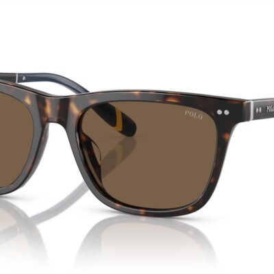 Polo Ralph Lauren Men's PH 4205U Shiny Dark Havana/Brown Sunglasses