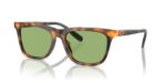 Polo Ralph Lauren Men's PH 4205U Havana/Light Green Sunglasses