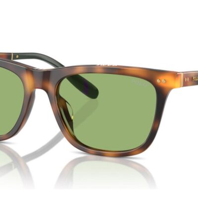 Polo Ralph Lauren Men's PH 4205U Havana/Light Green Sunglasses
