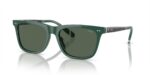 Polo Ralph Lauren Men's PH 4205U Green/Green Sunglasses