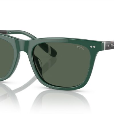 Polo Ralph Lauren Men's PH 4205U Green/Green Sunglasses
