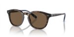 Polo Ralph Lauren Men's PH 4206 Shiny Dark Havana/Brown Sunglasses