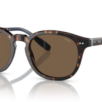 Polo Ralph Lauren Men's PH 4206 Shiny Dark Havana/Brown Sunglasses