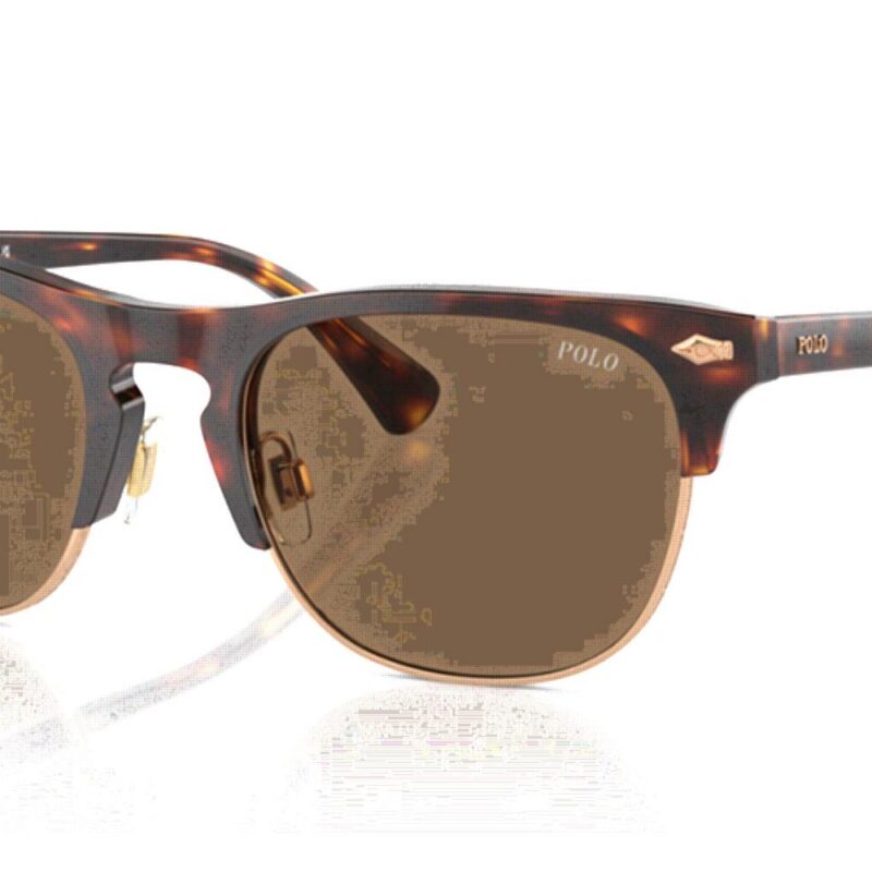 Polo Ralph Lauren Men's PH 4213 Havana/Brown Sunglasses Polo Ralph Lauren Men's PH 4213 Havana/Brown Sunglasses