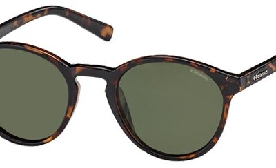 POLAROID PLD 1013_S Men's Sunglasses