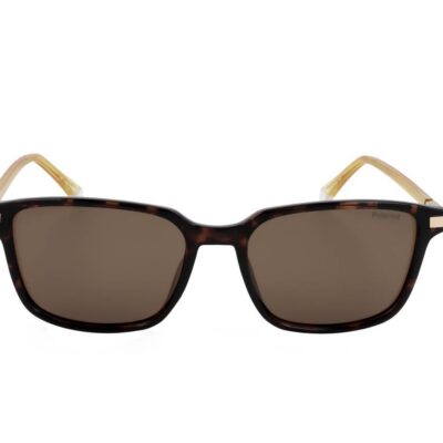 POLAROID PLD 4169 G S X HAVANA Men's Sunglasses