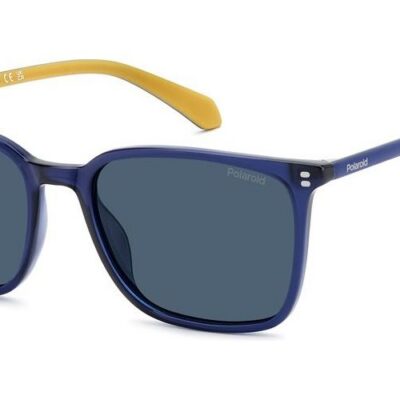 POLAROID PLD 4207_S_X Men's Sunglasses