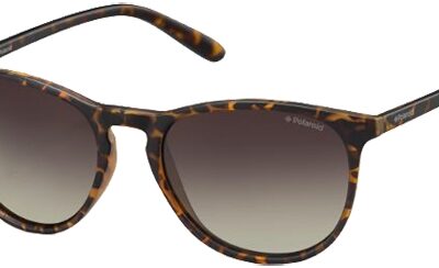 POLAROID PLD 6003_N_S Men's Sunglasses