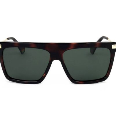 POLAROID PLD 6179 S Men's Sunglasses