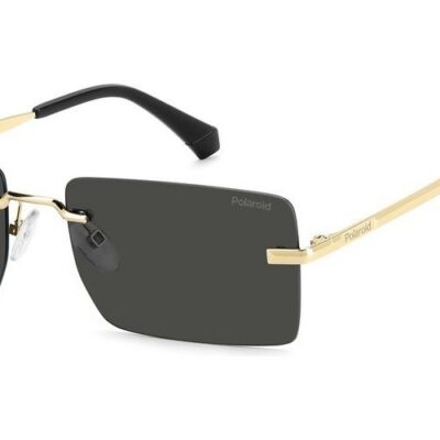 POLAROID PLD 6245_S Men's Sunglasses