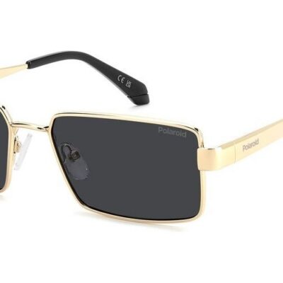 POLAROID PLD 6255_S_X Men's Sunglasses