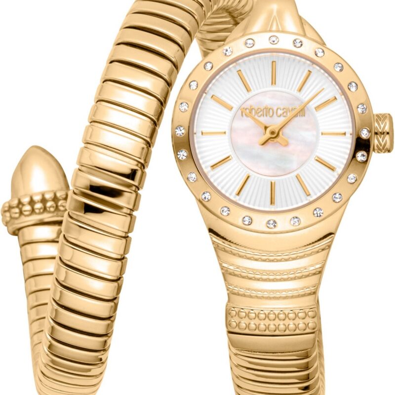 ROBERTO CAVALLI RC5L114M0025 Watch Women's ROBERTO CAVALLI RC5L114M0025 Watch Women's