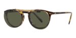 Oliver Peoples RILEY-R OV 5004 Brushed Gold/G-15 Clip-On Only Eyeglasses