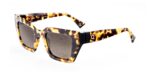 Etnia Barcelona Men's RITMO Amber Havana/Brown Shaded Sunglasses