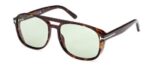 Tom Ford Men's ROSCO FT 1022 Dark Havana/Green Sunglasses