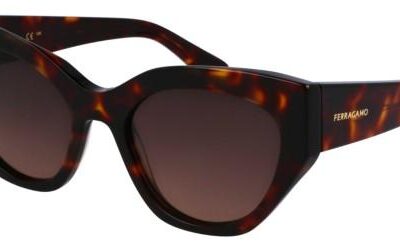Salvatore Ferragamo Women's SF1107S Dark Tortoise/Brown Shaded Sunglasses