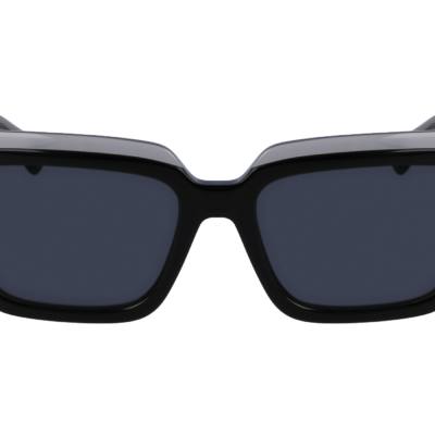Salvatore Ferragamo Women's SF2002S Transparent Grey/Dark Grey Sunglasses