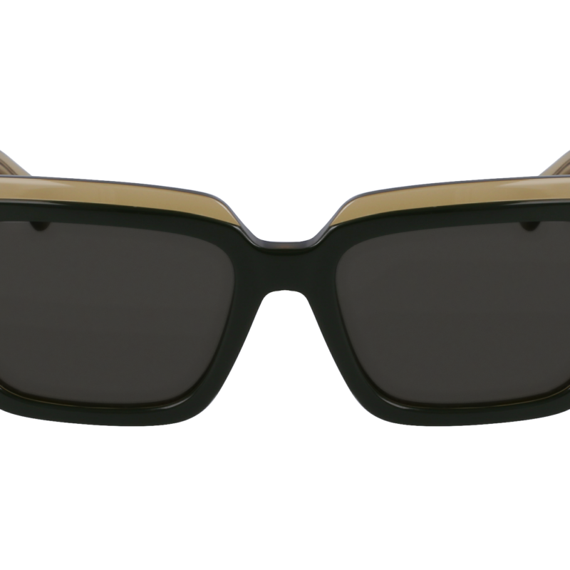 Salvatore Ferragamo Women's SF2002S Transparent Khaki/Dark Grey Sunglasses Salvatore Ferragamo Women's SF2002S Transparent Khaki/Dark Grey Sunglasses
