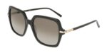 Salvatore Ferragamo Women's SF2076S Black/Grey Sunglasses