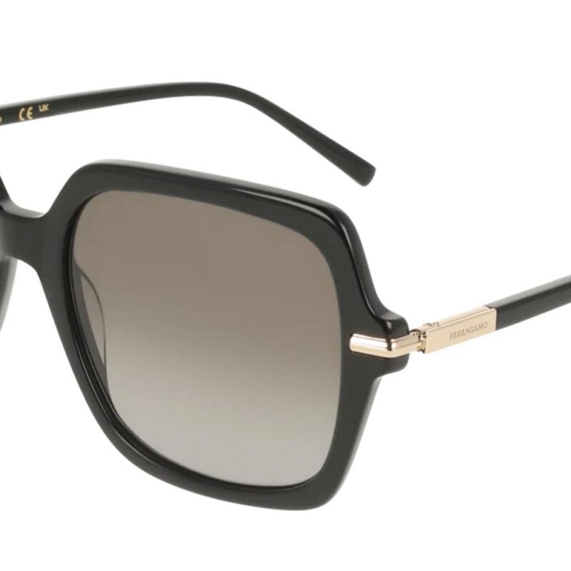 Salvatore Ferragamo Women's SF2076S Black/Grey Sunglasses Salvatore Ferragamo Women's SF2076S Black/Grey Sunglasses