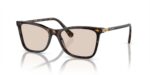 Swarovski Women's SK 6004 Dark Havana/Light Brown Sunglasses