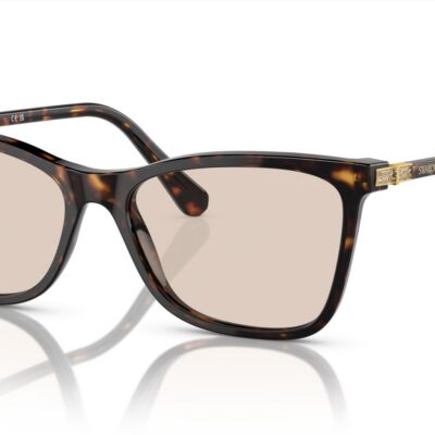 Swarovski Women's SK 6004 Dark Havana/Light Brown Sunglasses