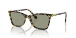 Swarovski Women's SK 6004 Havana/Dark Green Sunglasses
