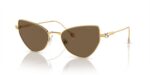 Swarovski Women's SK 7011 Gold/Brown Sunglasses