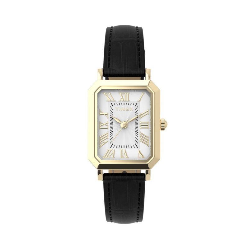 Timex Watch (TW2Y71900)