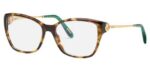 Chopard Men's VCH322S Shiny Havana Eyeglasses