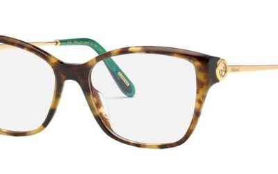 Chopard Men's VCH322S Shiny Havana Eyeglasses