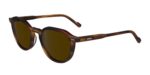 Zeiss ZS24543S Striped Brown/Brown Sunglasses