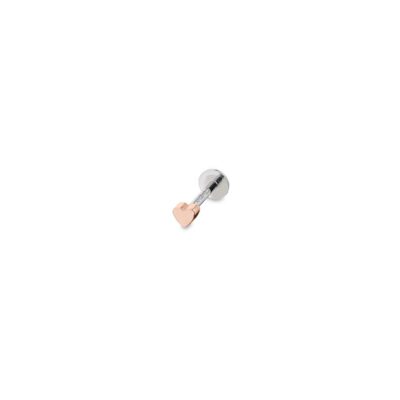 An Jewels Women’s Earring (as-pt02r)