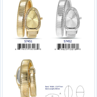 DACQA Metal Band Snake Watch – Silver