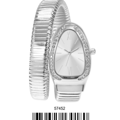 DACQA Metal Band Snake Watch – Silver