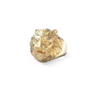 Guess Jewels Men’s Ring (JUMR01307JWYG64)