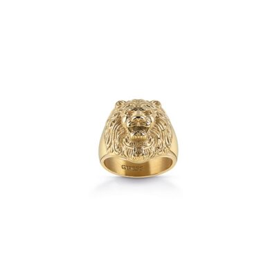 Guess Jewels Women’s Earrings (JUMR01307JWYG62)