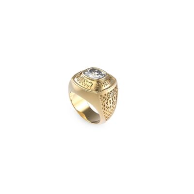 Guess Jewels Women’s Earrings (JUMR01375JWYG64)