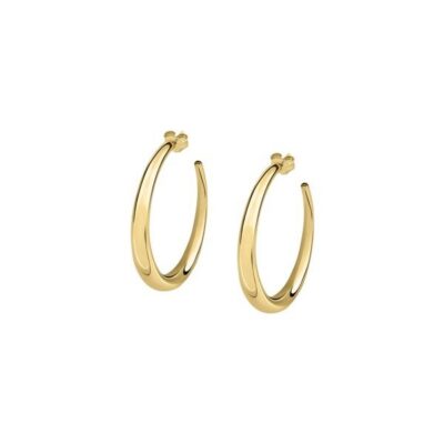 La Petite story jewels Women’s Earrings (lps01aqm01)