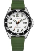 Citizen Men's 40mm Stainless Steel Watch (BN0265-00A)