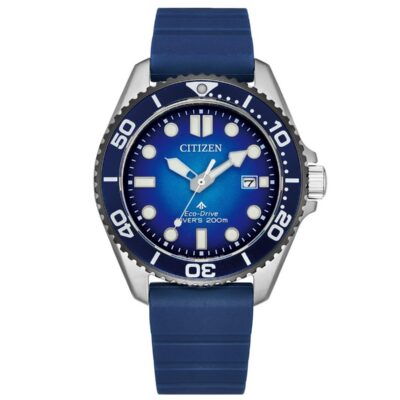 Citizen Men's 40mm Stainless Steel Watch (BN0267-04L)