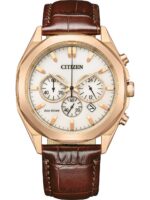 Citizen Men's 43mm Watch (CA4593-15A)