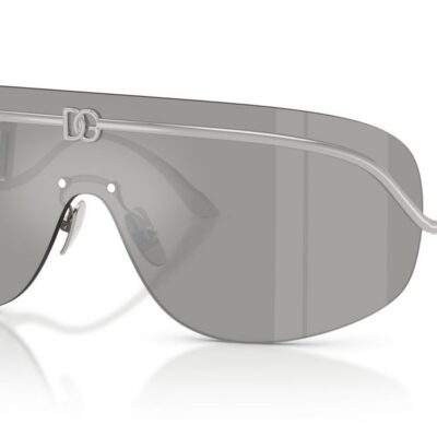 DOLCE & GABBANA Women's Sunglasses DG 2320