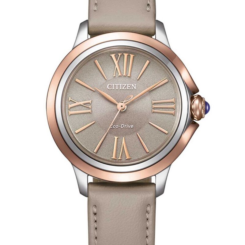 Citizen Men's 46mm Watch (EM1166-01Z)