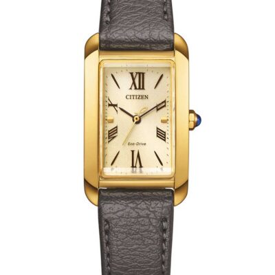 Citizen Men's Chronograph 46mm Watch (EW5622-09P)