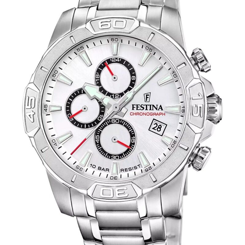Festina Men's Stainless Steel Watch (F20704_1)